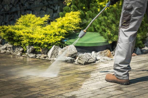 Best Gutter Cleaning  in Gordo, AL